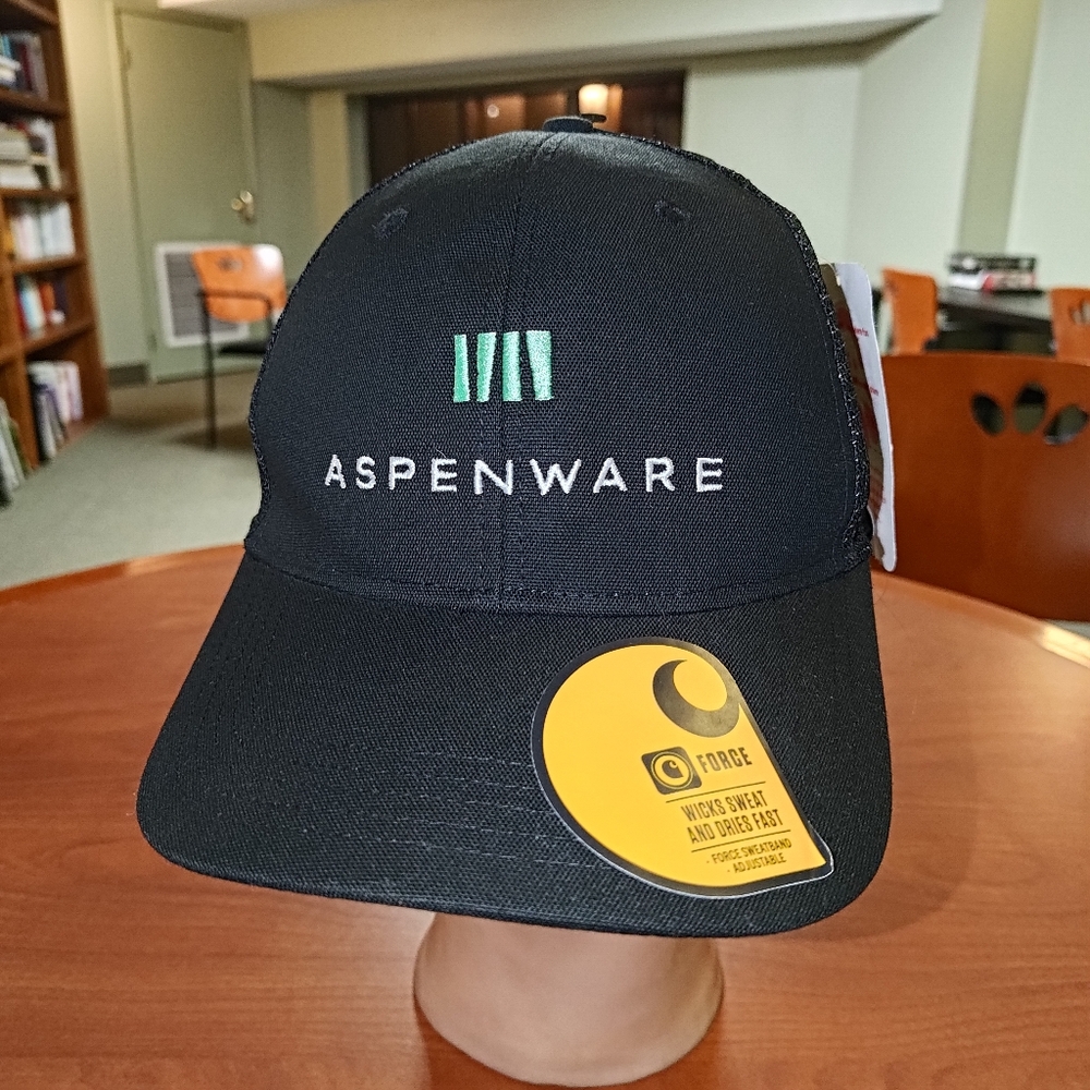 ASPENWARE Carhartt Embroidered Logo Trucker Mesh Snapback Hat Cap New